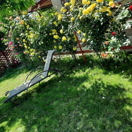 Casa De Vacanta Alexoiu Două Mai Dış mekan fotoğraf