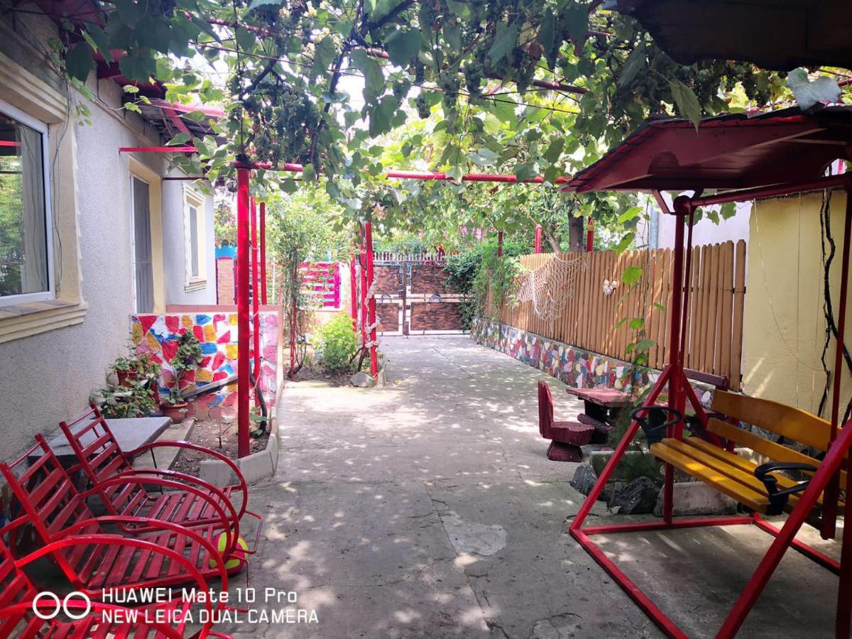 Casa De Vacanta Alexoiu Două Mai Dış mekan fotoğraf