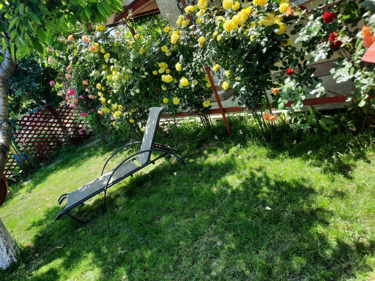 Casa De Vacanta Alexoiu Două Mai Dış mekan fotoğraf